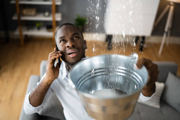 Best 24-hour water damage restoration  in Hillside Lake, NY