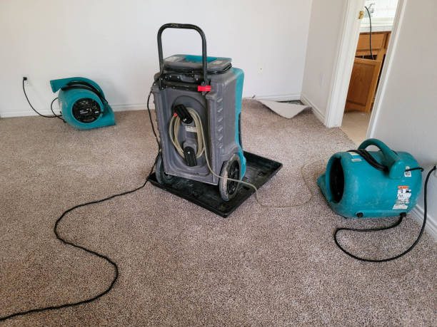 Best 24/7 water damage repair  in Hillside Lake, NY
