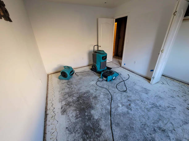 Best Sewage cleanup and water damage restoration  in Hillside Lake, NY