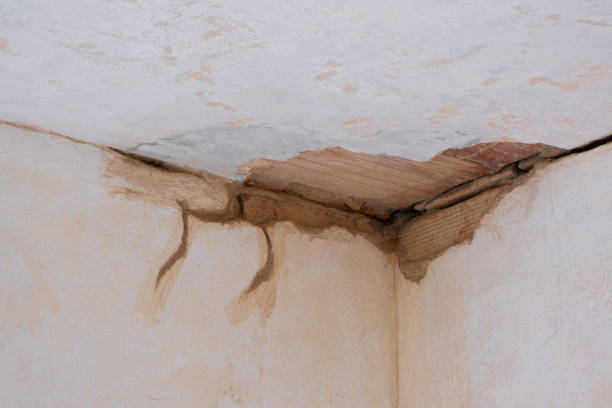 Best Commercial water damage restoration  in Hillside Lake, NY