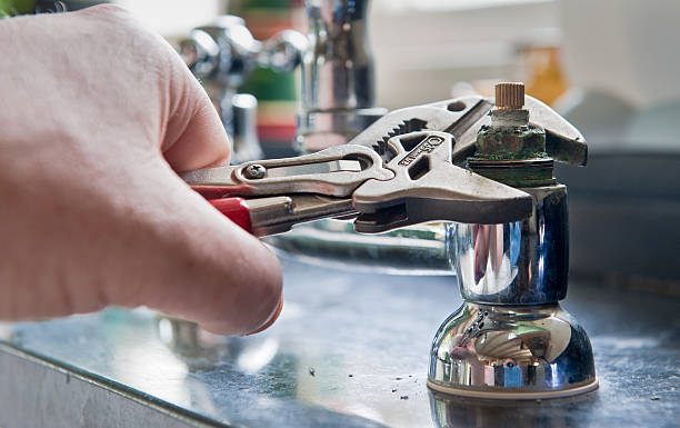 Best Mold removal after water damage  in Hillside Lake, NY