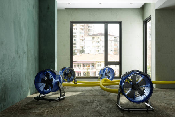 Best Water damage repair service  in Hillside Lake, NY
