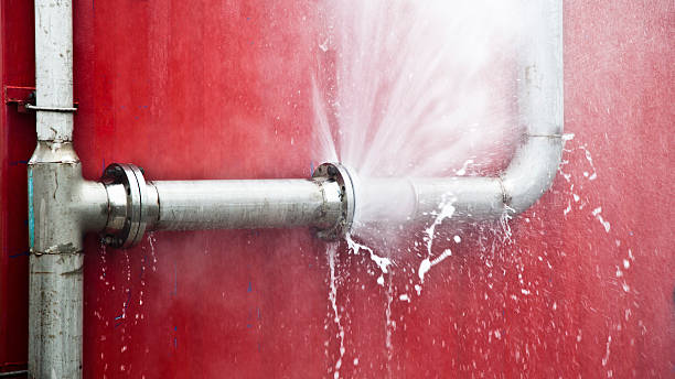 Best Local water damage restoration  in Hillside Lake, NY
